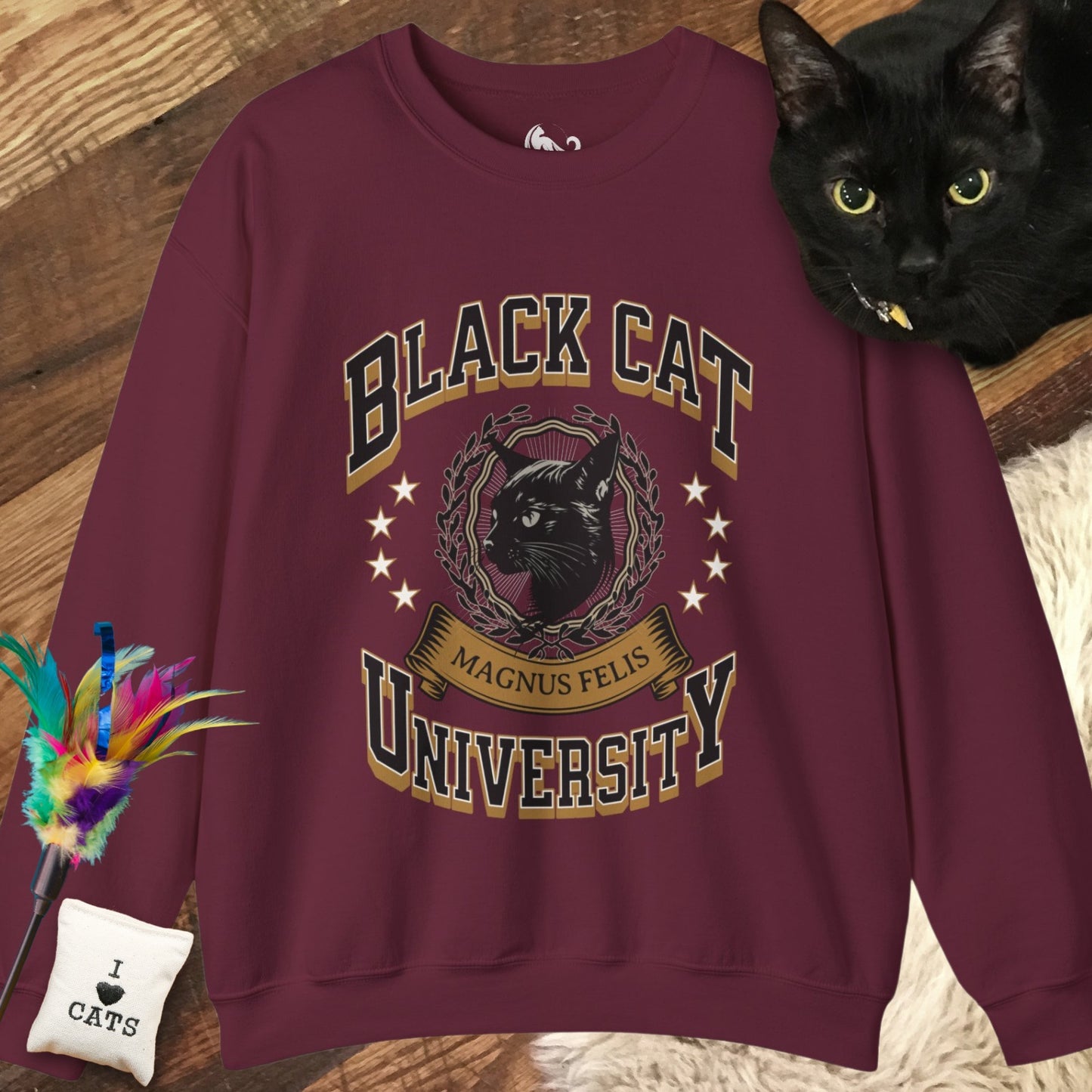 Black Cat University Sweatshirt