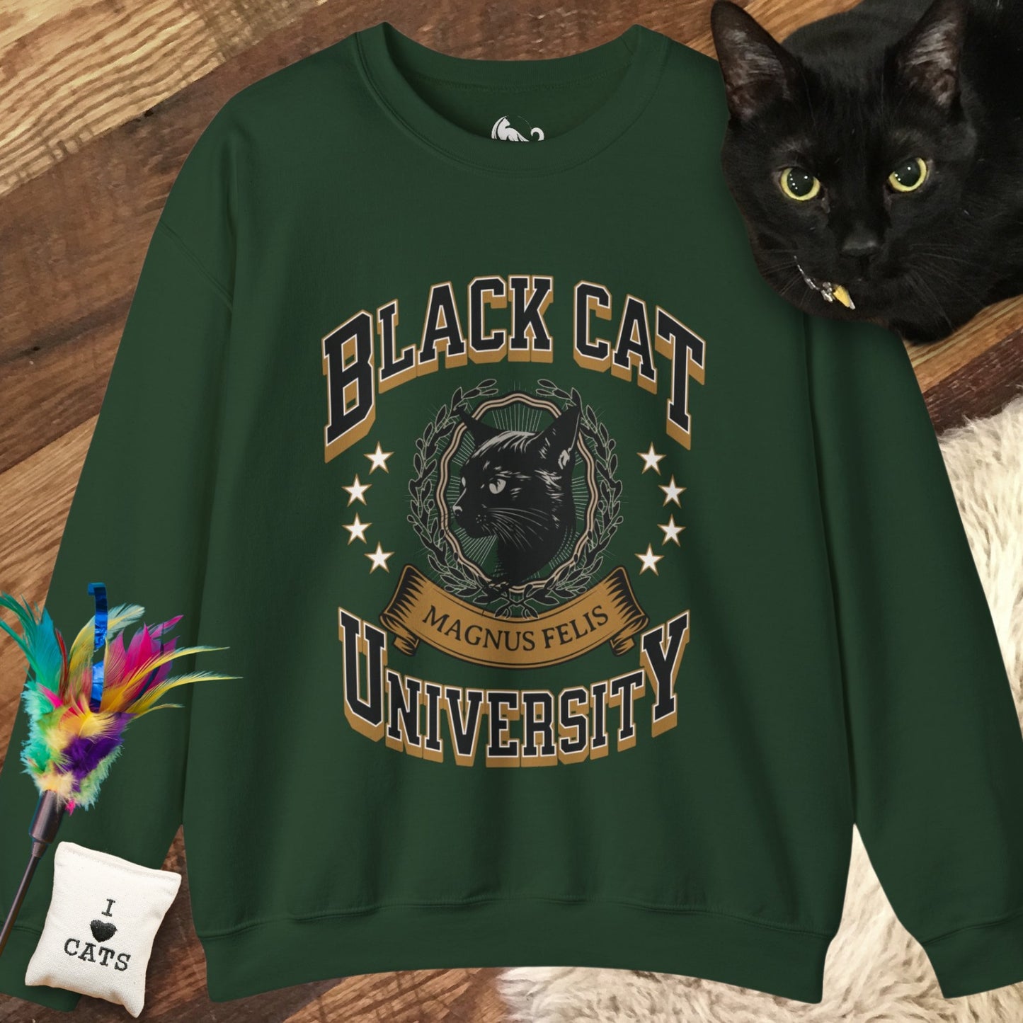 Black Cat University Sweatshirt