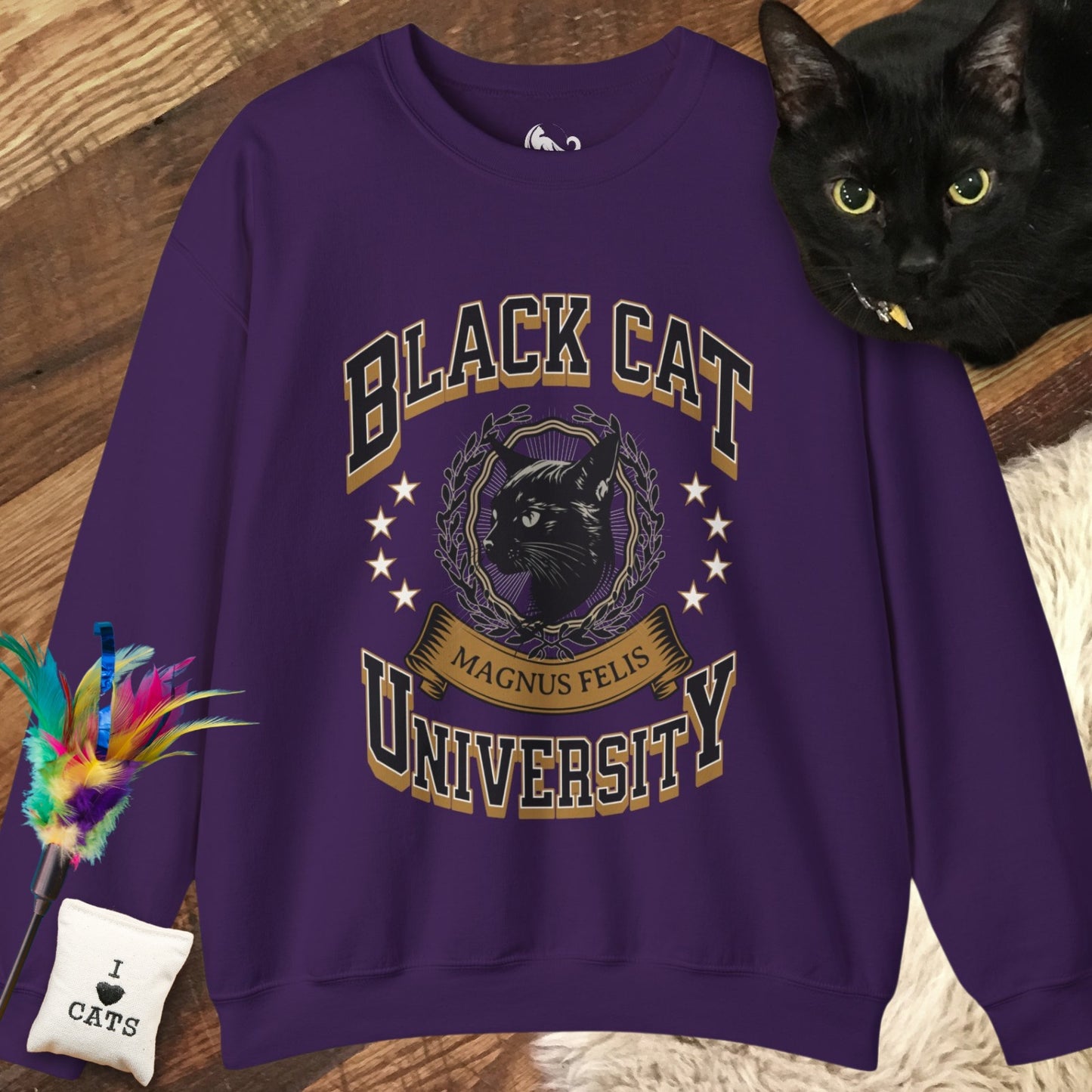 Black Cat University Sweatshirt