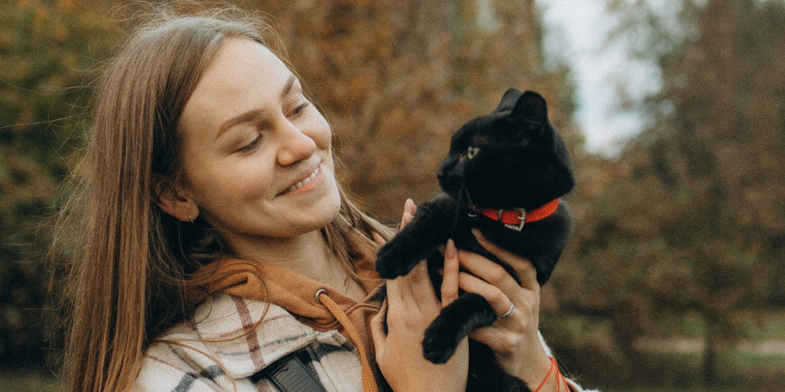 Debunking Common Superstitions About Black Cats: A Journey into Feline Reality